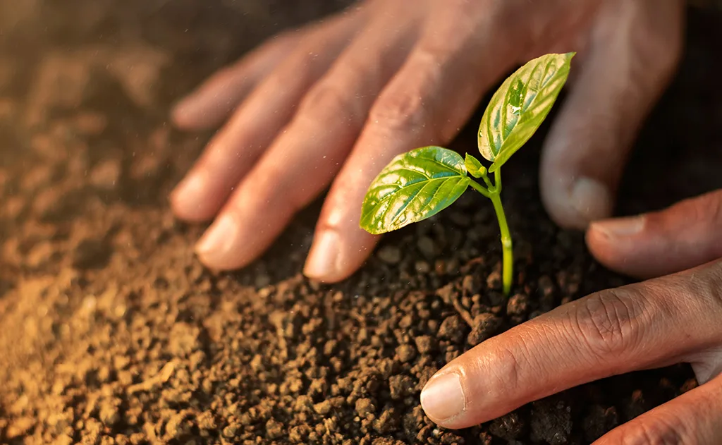 kisah komunitas iman